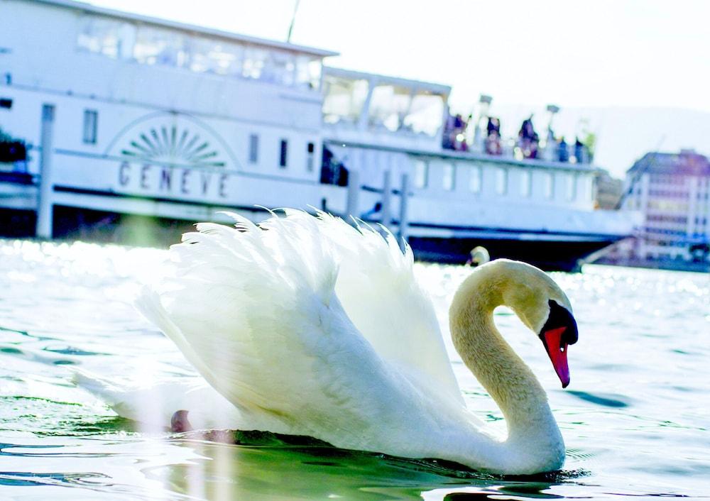 Hotel Les Nations Cenevre Dış mekan fotoğraf